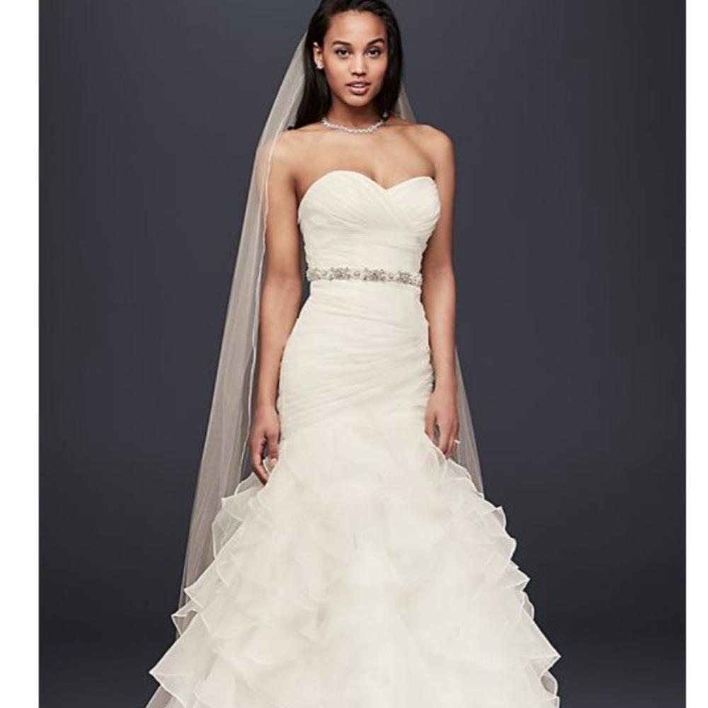 Beautiful plus size wedding dress from David’s Bridal.